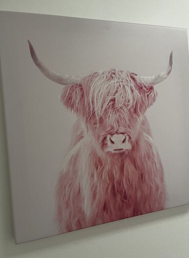Interior detail 2, Pink Cow Modern Retreat, Ostholstein