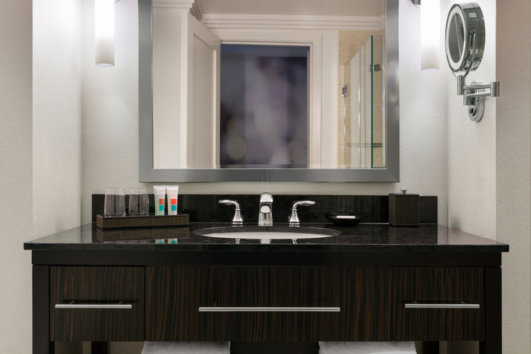 Bathroom 4, Loews Atlanta Hotel, Atlanta