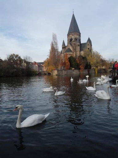 Lumineux et cosy, avec parking, 2 mn gare, 2mn Muse, 5mn centre, Moselle