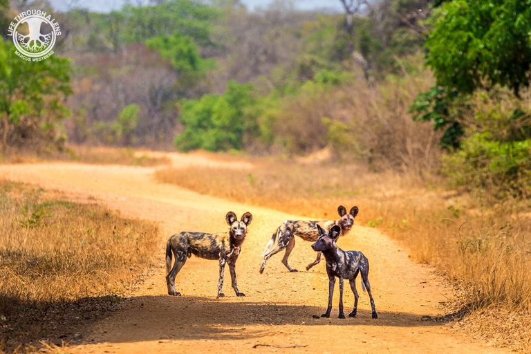 Others 5, Kafue River Lodge