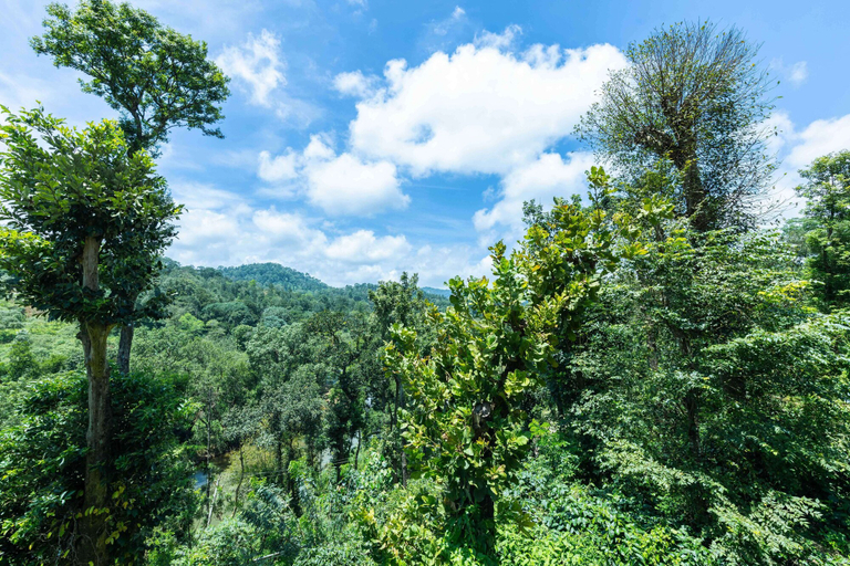Others 4, Treebo River View, Kodagu