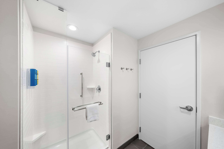 Bathroom 4, Tru by Hilton Plano Hwy 75, Collin