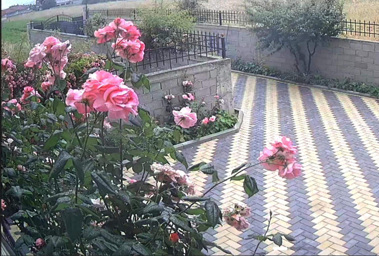 Others 5, Beautiful 1-bed House in Korce, Korçës
