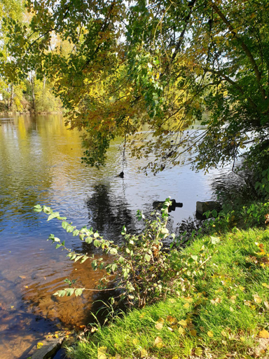 Others 4, Le Moulin du Chemin, Deux-Sèvres