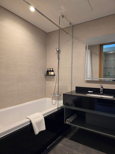 Bathroom 4, Stanford Hotel, Andong
