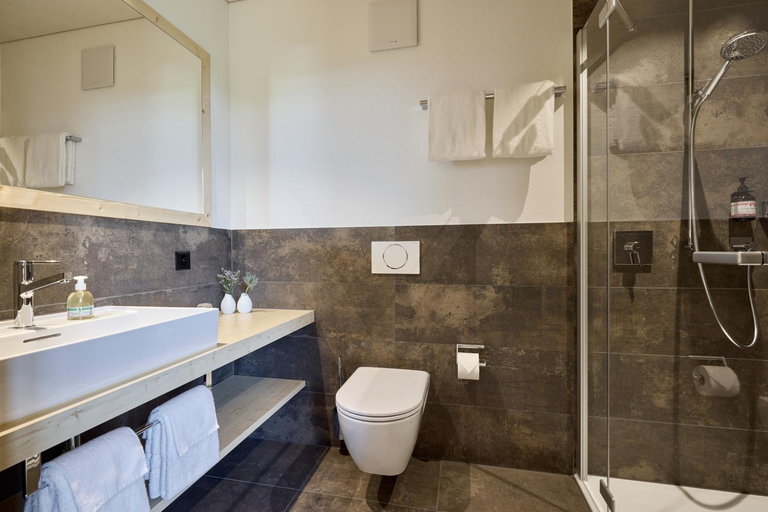 Bathroom 2, Hotel Klausenpass, Uri