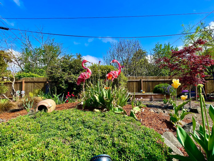 Welcome! Colorful 50's Ranch in the Heart of Eugene, Lane