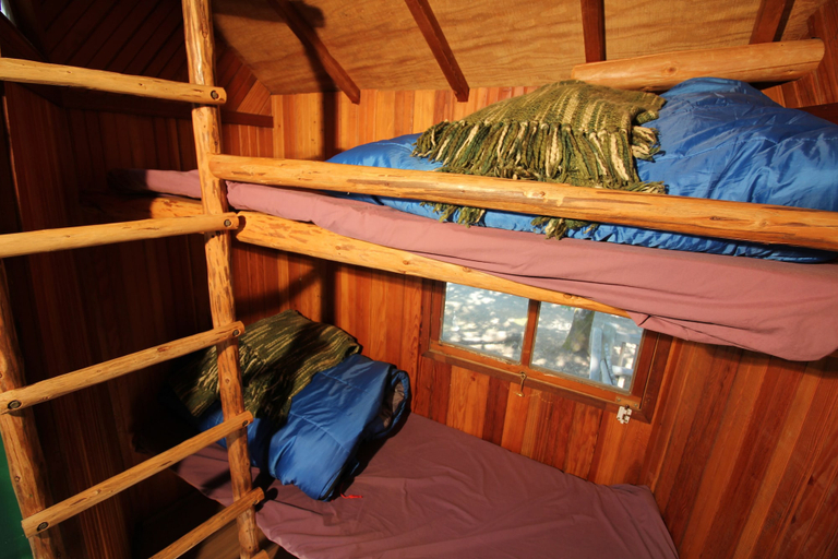 Bedroom 3, Out 'N' About Treehouse Treesort, Josephine