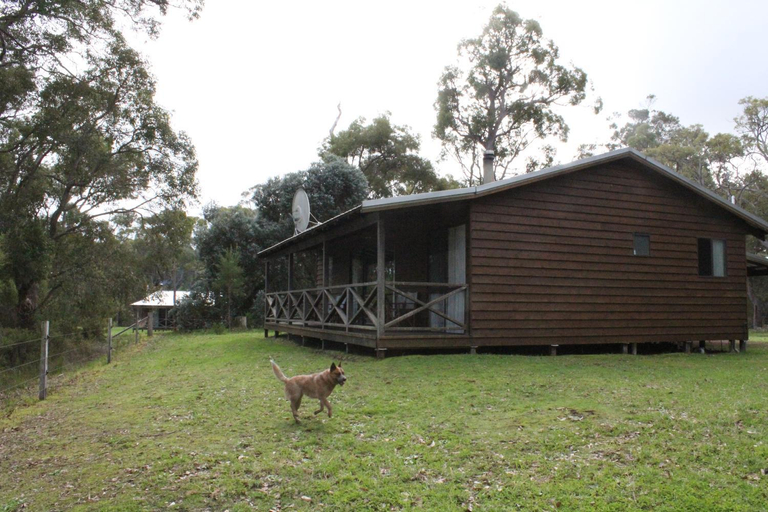 Che Sara Sara Chalets, Denmark