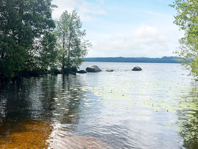 Others 5, person holiday home in BRAAS-By Traum, Växjö