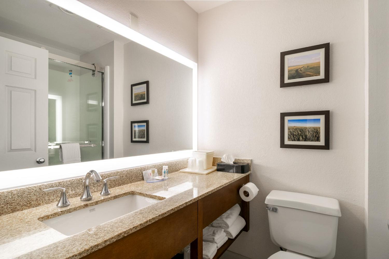 Bathroom, Comfort Inn Great Falls Central, Cascade
