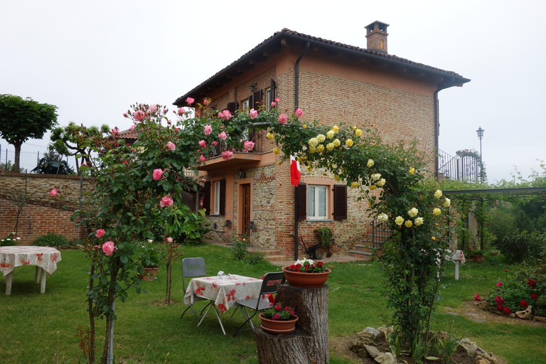 Others 3, Bricco Dei Ciliegi, Asti