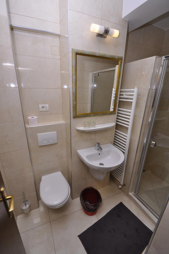 Bathroom 3, Hotel Cerbul, Borsa