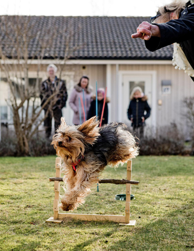 Others 5, Ahus Resort, Kristianstad
