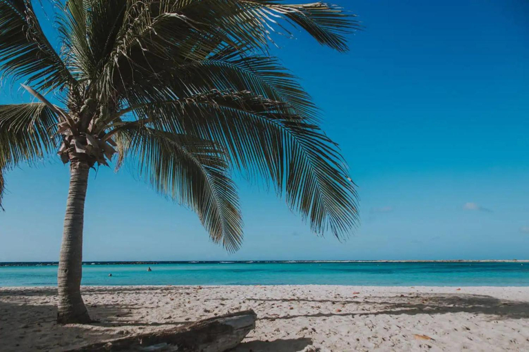 Others 3, Luxurious villa in Noord, Aruba