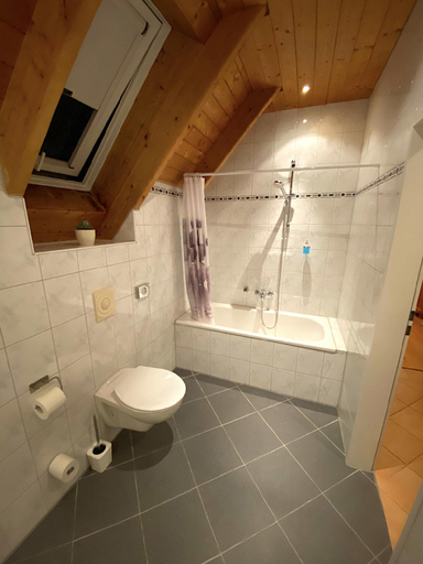 Bathroom 4, Das Landhotel zur Mühle, Münster