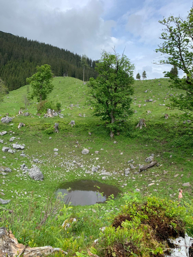 Scenery 4