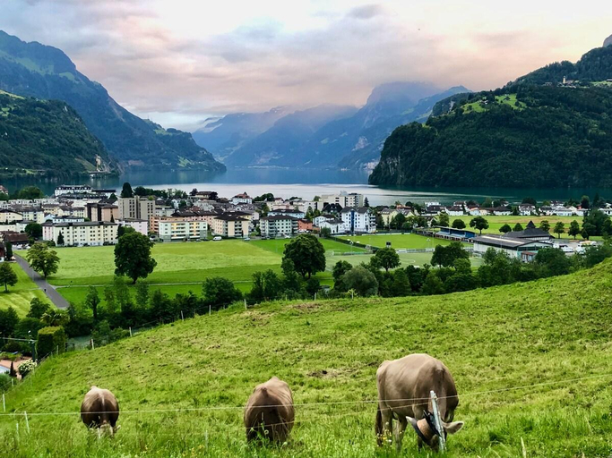 Others 4, Lilly o Wellness o Hideaway, Schwyz