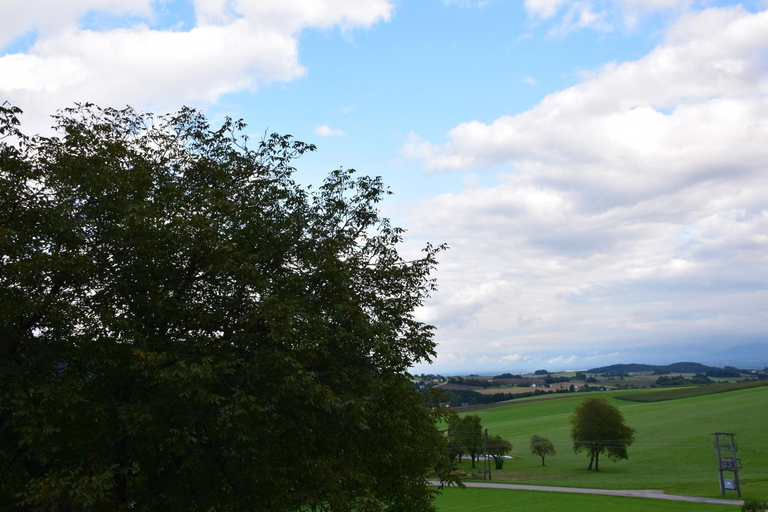 Others 4, Harmonie Stuberl, Vöcklabruck