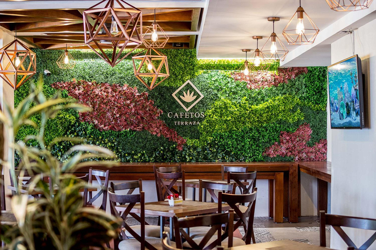 Food & Drinks, Hotel Mansur Business & Leisure, Ixtaczoquitlán