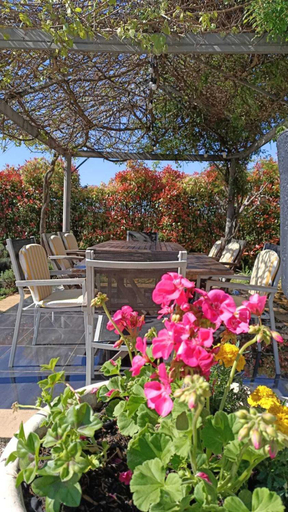 Others 2, Mon Ventoux - Cozyhotes, Vaucluse