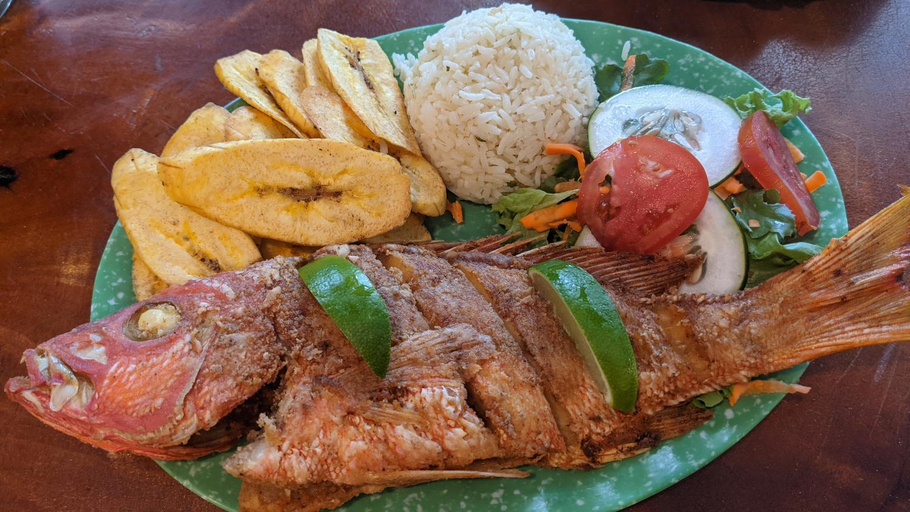 Food & Drinks 5, Coral View Beach Resort, Utila