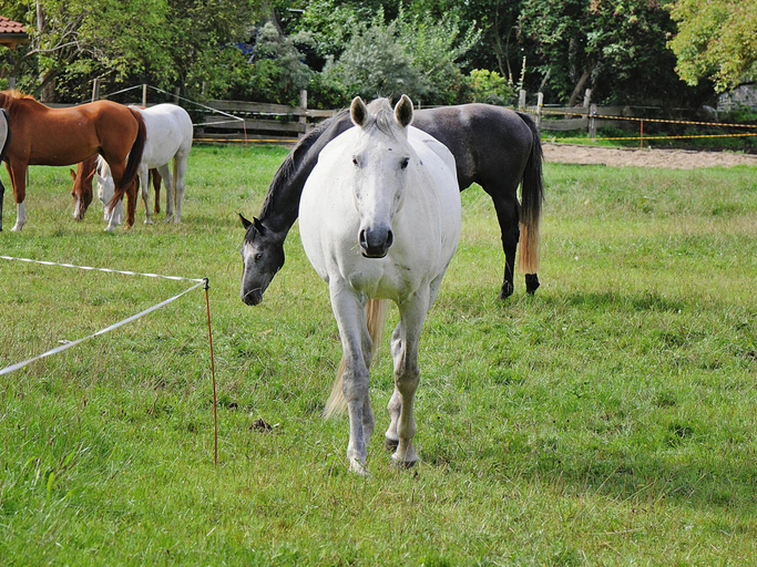 Others 4, Gutshaus Zicker in Garz, Vorpommern-Rügen