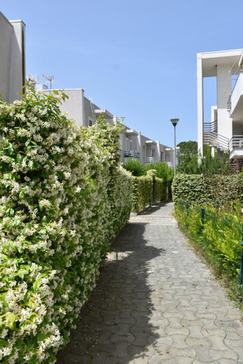 Others 5, Leta's apartments, beach vacation rentals, Durrësit