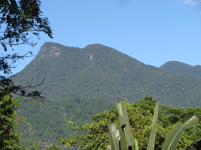Others 3, Mossman Gorge Bed and Breakfast, Douglas