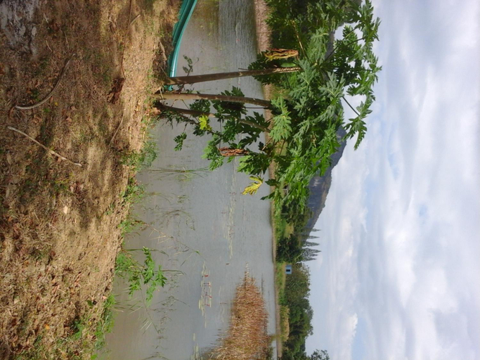 Others 3, Kum Nangpaya, Kaeng Krachan