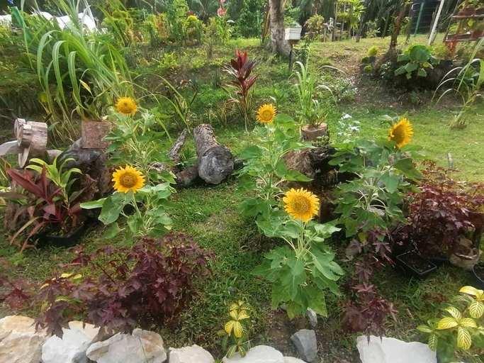4, Secret Villa Kudat, Kudat