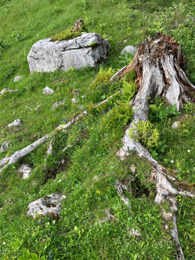 Scenery 14