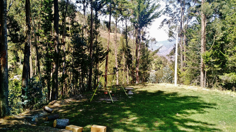 Others 5, Pinares del Carrizalito, El Cocuy