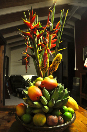 Food & Drinks 3, Tropical Bliss Bed and Breakfast, Johnstone