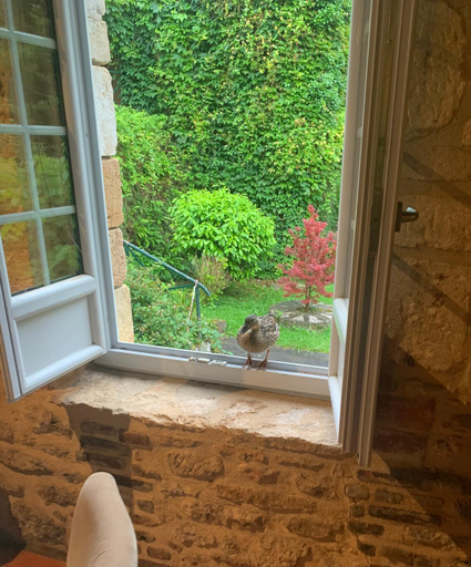 Food & Drinks, Logis Hotel Le Moulin de la Beune, Dordogne