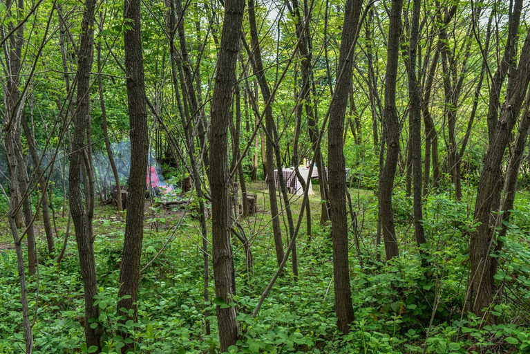 Others 4, The Little Mountain Cabin, Turnu Ruieni