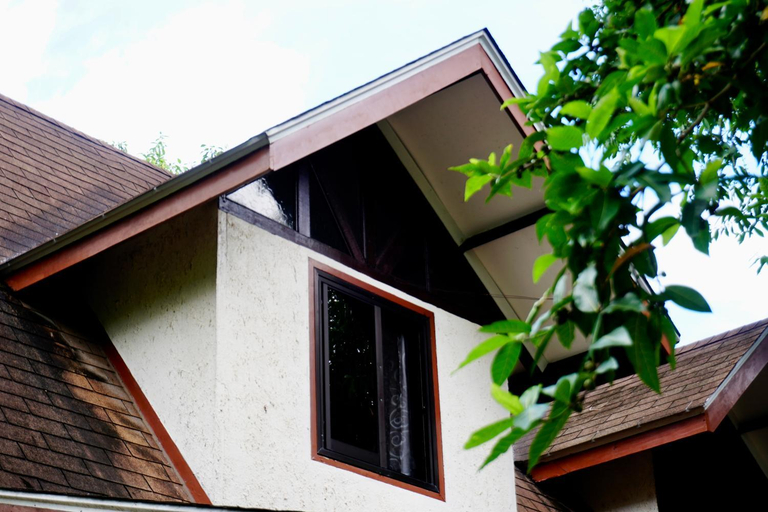 Others 5, Flower Garden Resort, Panglao