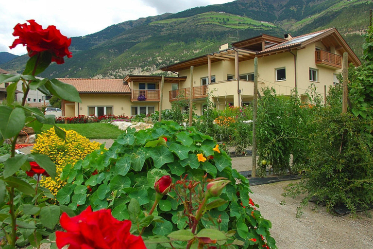 Others 4, Apartment in Schlanders near Stelvio Park, Bolzano