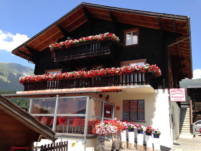 Exterior & Views 1, Hotel Haus Muhlebach, Goms