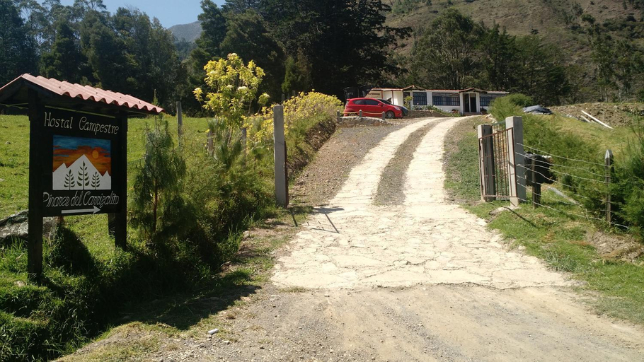 Others 4, Pinares del Carrizalito, El Cocuy