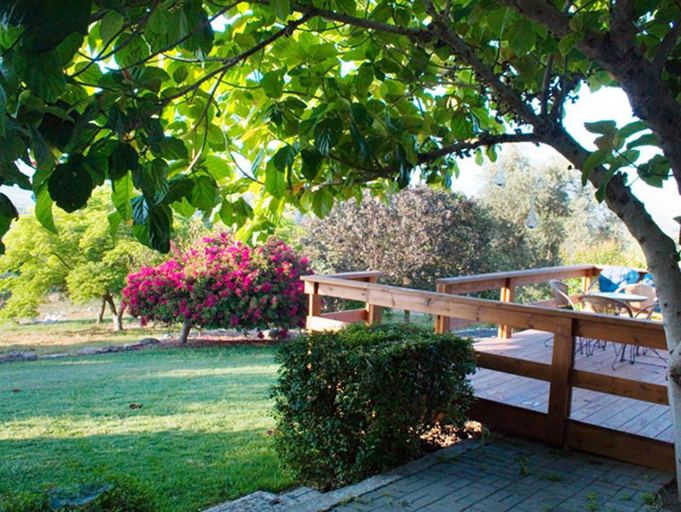 Others 5, Cabin 81