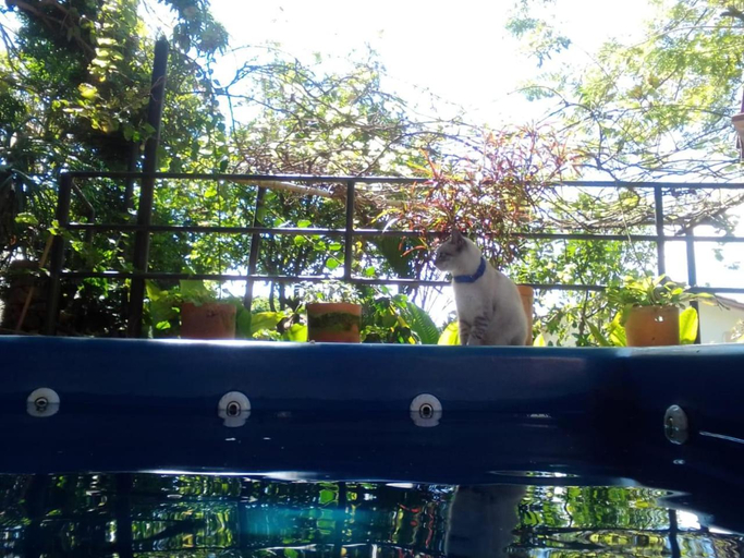 Others 3, Tinto Hostel, Barichara