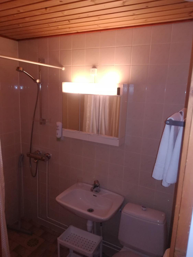 Bathroom 3, Hotelli Pogostan Hovi, North Karelia