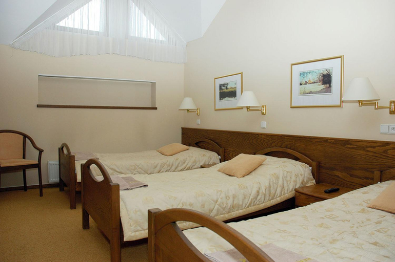 Bedroom 2, Hotel Restaurant Modra Hvezda, Plzeň - jih