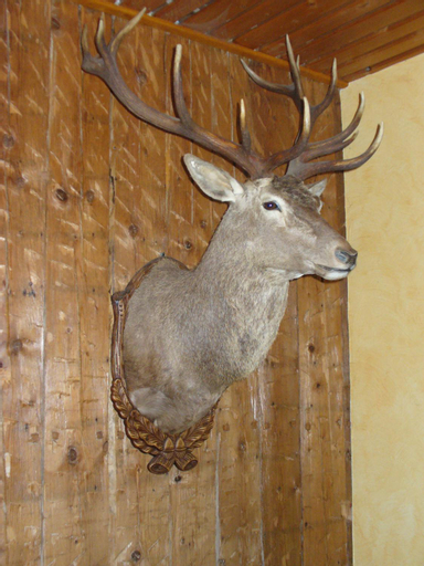Others 3, Zum Roten Hirsch im Grunen Wald, Saalfeld-Rudolstadt