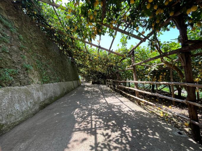 Others 4, Tenuta Donna Giovanna, Salerno