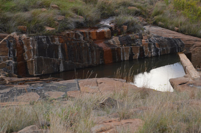Surrounding environment 2, Woolly Bugger Farm, Sekhukhune