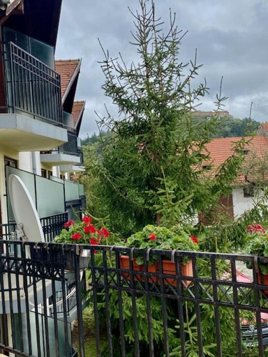 Others 5, Pensiunea Casa Saxonia, Rasnov