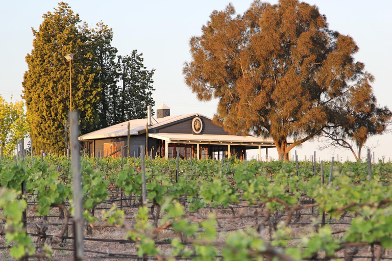 Others 3, Blueberry Hill Vineyard Stay, Cessnock