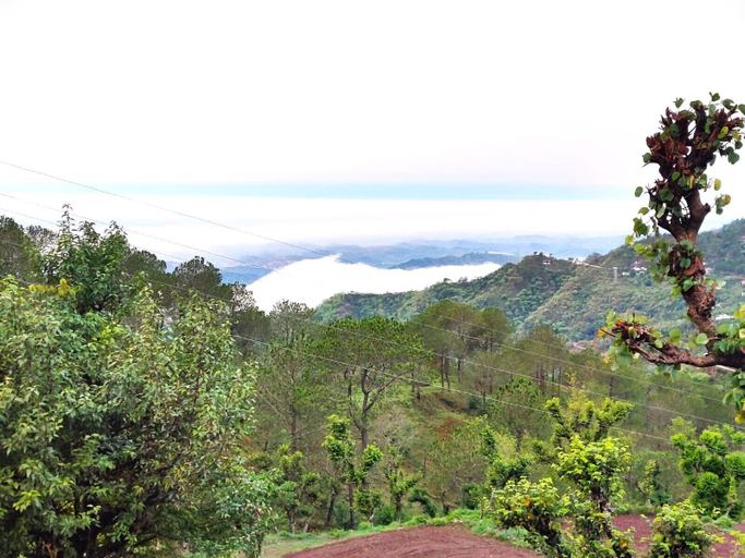 Others 4, Jaitak Resort By Pine, Sirmaur